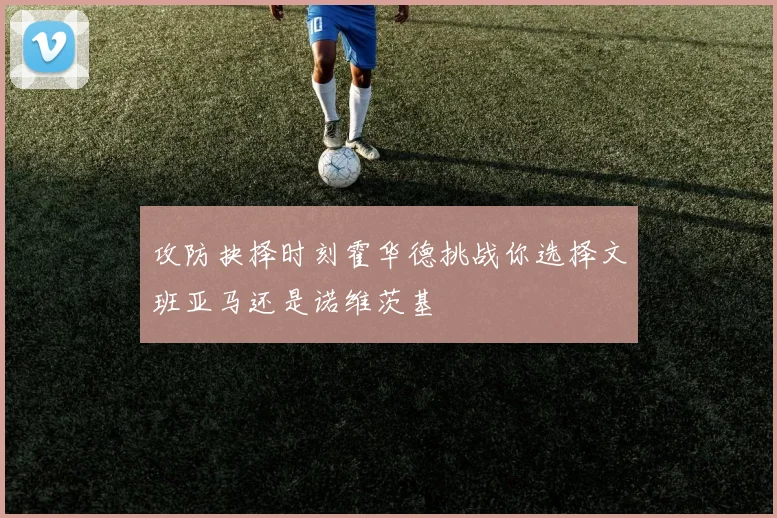攻防抉择时刻霍华德挑战你选择文班亚马还是诺维茨基